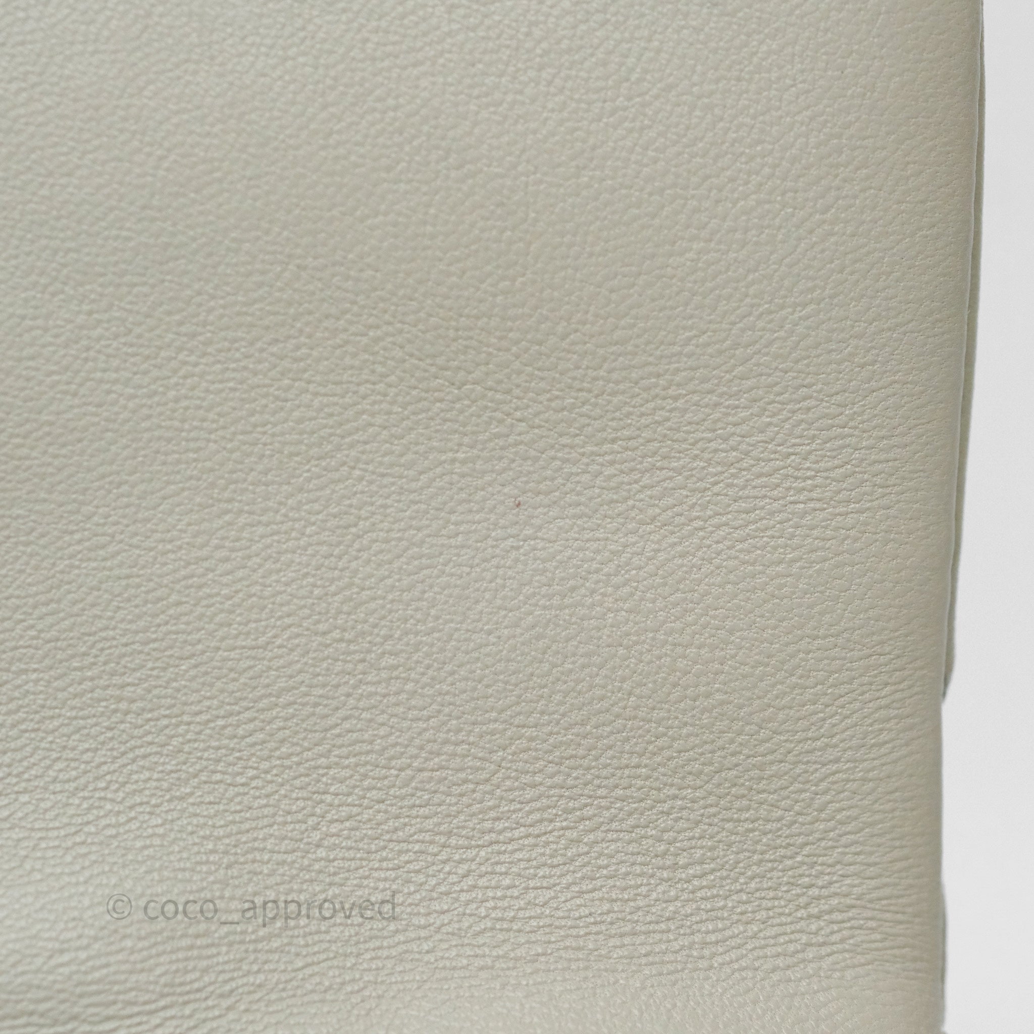 Chanel 19 Small Handbag in Sage Grey with Mixed Hardware - Luxury Crossbody Bag for Women, Perfect for Date Night & Evening Events