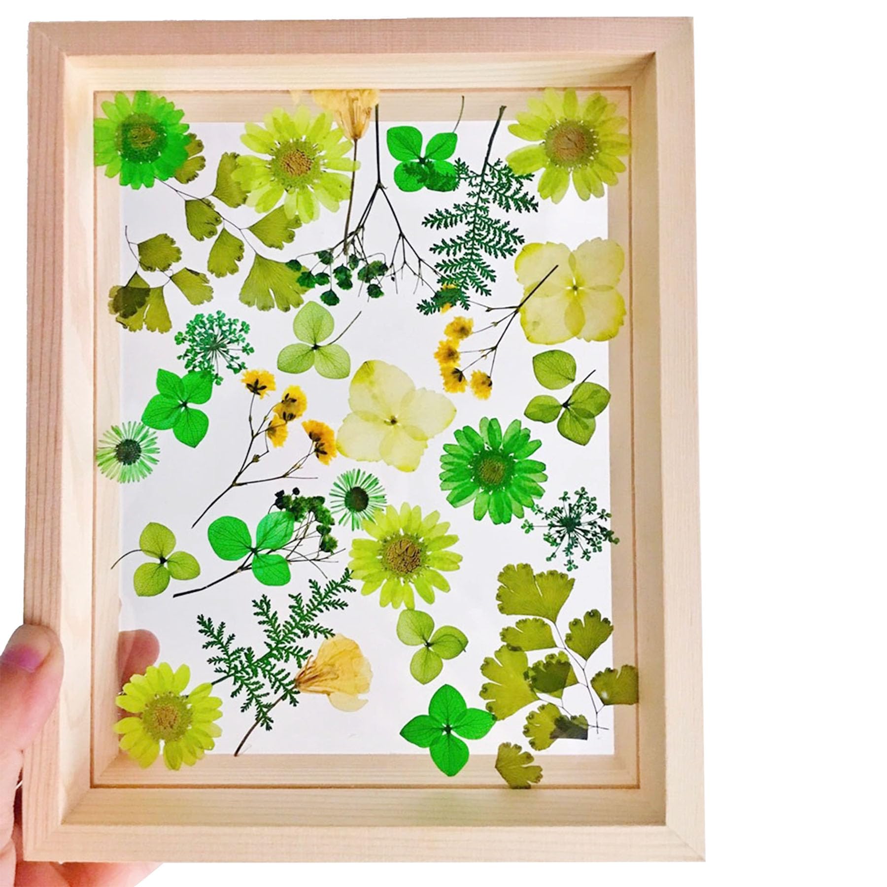 Woohome 126PCS Real Pressed Flowers Kit - Natural Dried Pressed Flowers for Resin Art, Nail Art, Scrapbooking, Candle & Jewelry Making - Premium Resin Craft Supplies for DIY Projects & Home Decor