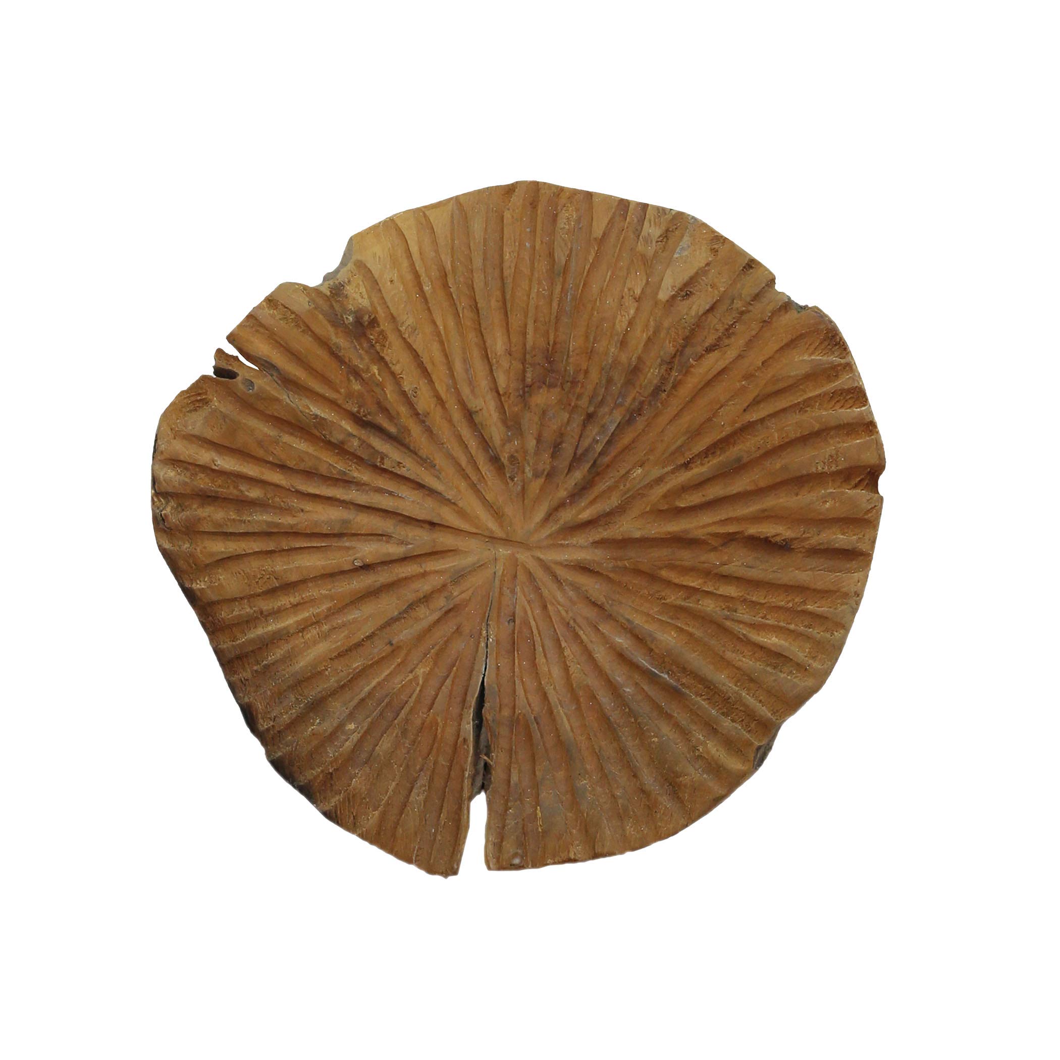 Elk Home Frogger Wall Decor - Natural Style for Living Room