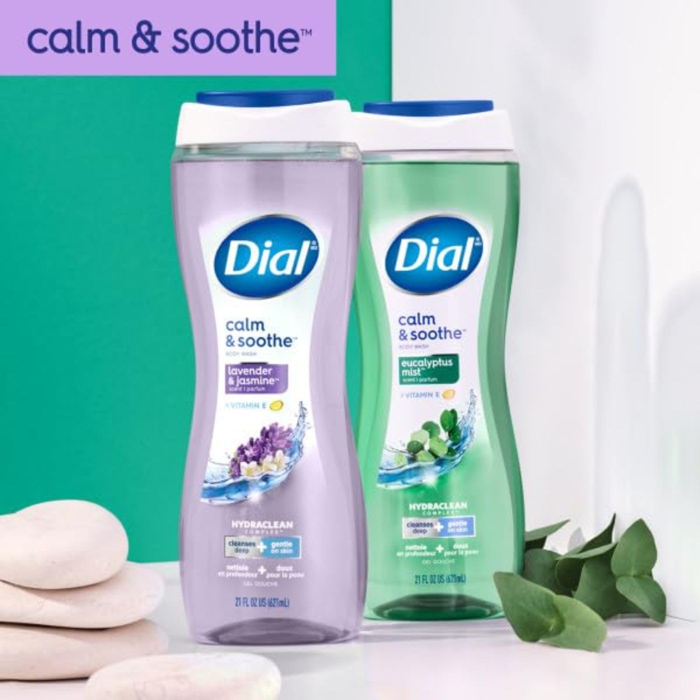 Dial Lavender & Jasmine Body Wash - 16 fl oz (Pack of 6) | Moisturizing & Relaxing Shower Gel for Dry Skin | Perfect for Daily Use, Spa Days & Gift Sets