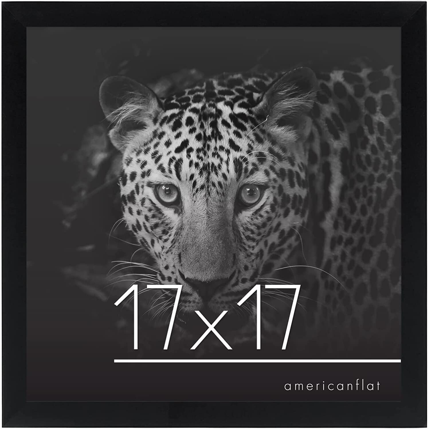 Americanflat 17x17 Black Square Picture Frame - Wall Display for Photos & Art