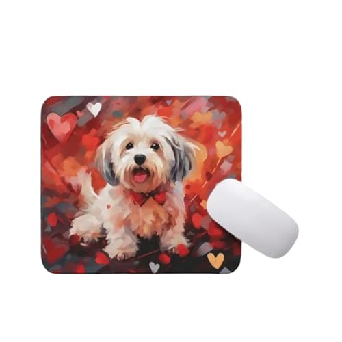 Havanese