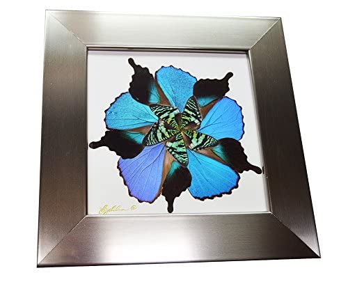 Eydelia Butterfly Wing Wall Art - Blue Floral Home Decor for Living Room, Bedroom & Office