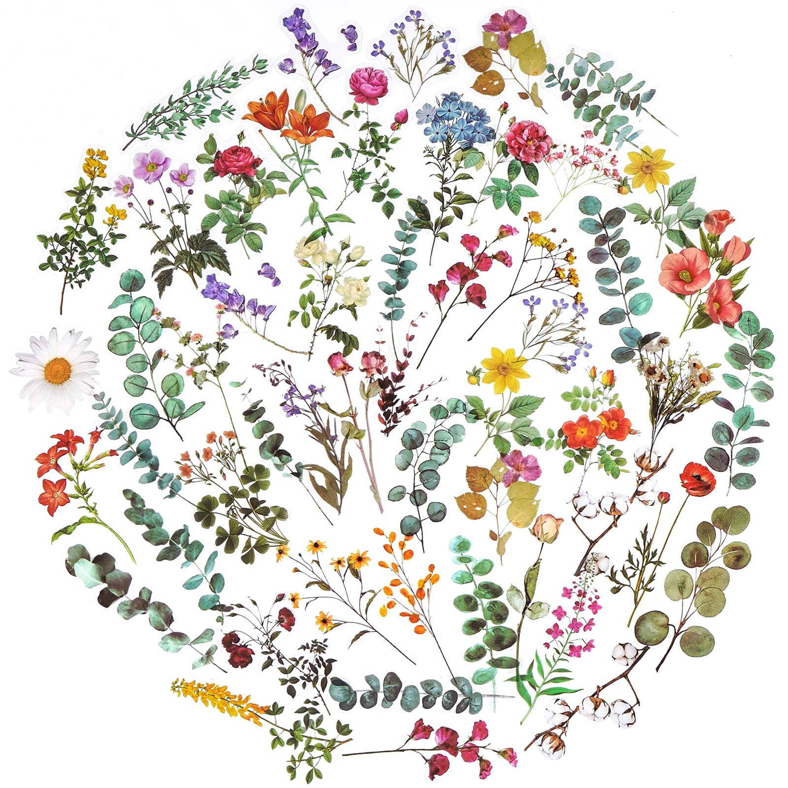 Premium Knaid Flower Eucalyptus Plant Stickers Set - 160 PET Transparent Waterproof Decals for Scrapbooking, DIY Crafts, Bullet Journaling | Perfect for Planners, Water Bottles, Phone Cases & Laptop Decoration | Home Office & School Supplies
