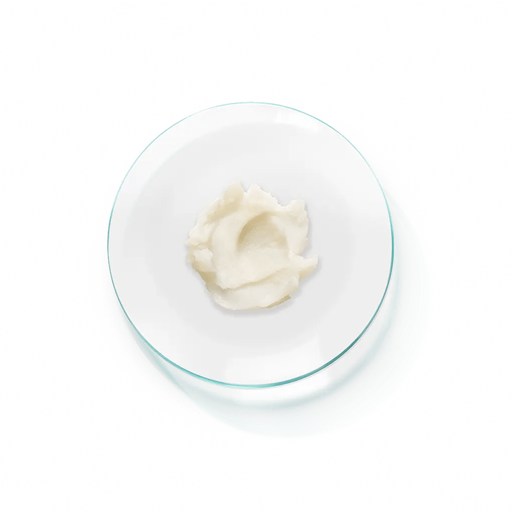 Best Facial Cleanser for Acne-Prone Skin - Gentle & Effective Face Wash for Daily Use - Perfect for Morning & Night Skincare Routine