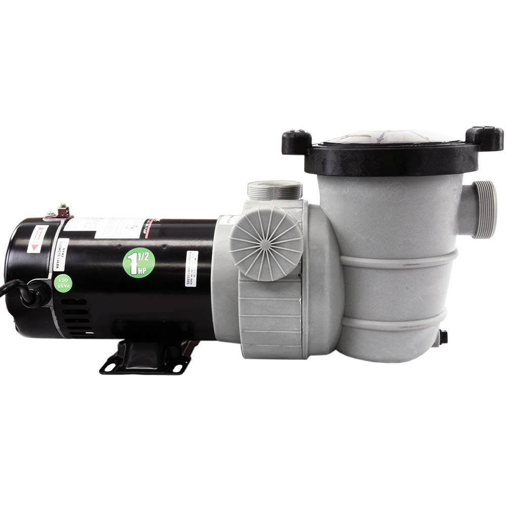 Rx Clear Dorado 1-1/2 HP Dual Port Above Ground Pool Pump | 115V 9 Amps Energy Efficient Swimming Pool Pump with See-Through Strainer Cover | Low Maintenance | Perfect for Backyard, Inground & Above Ground Pools