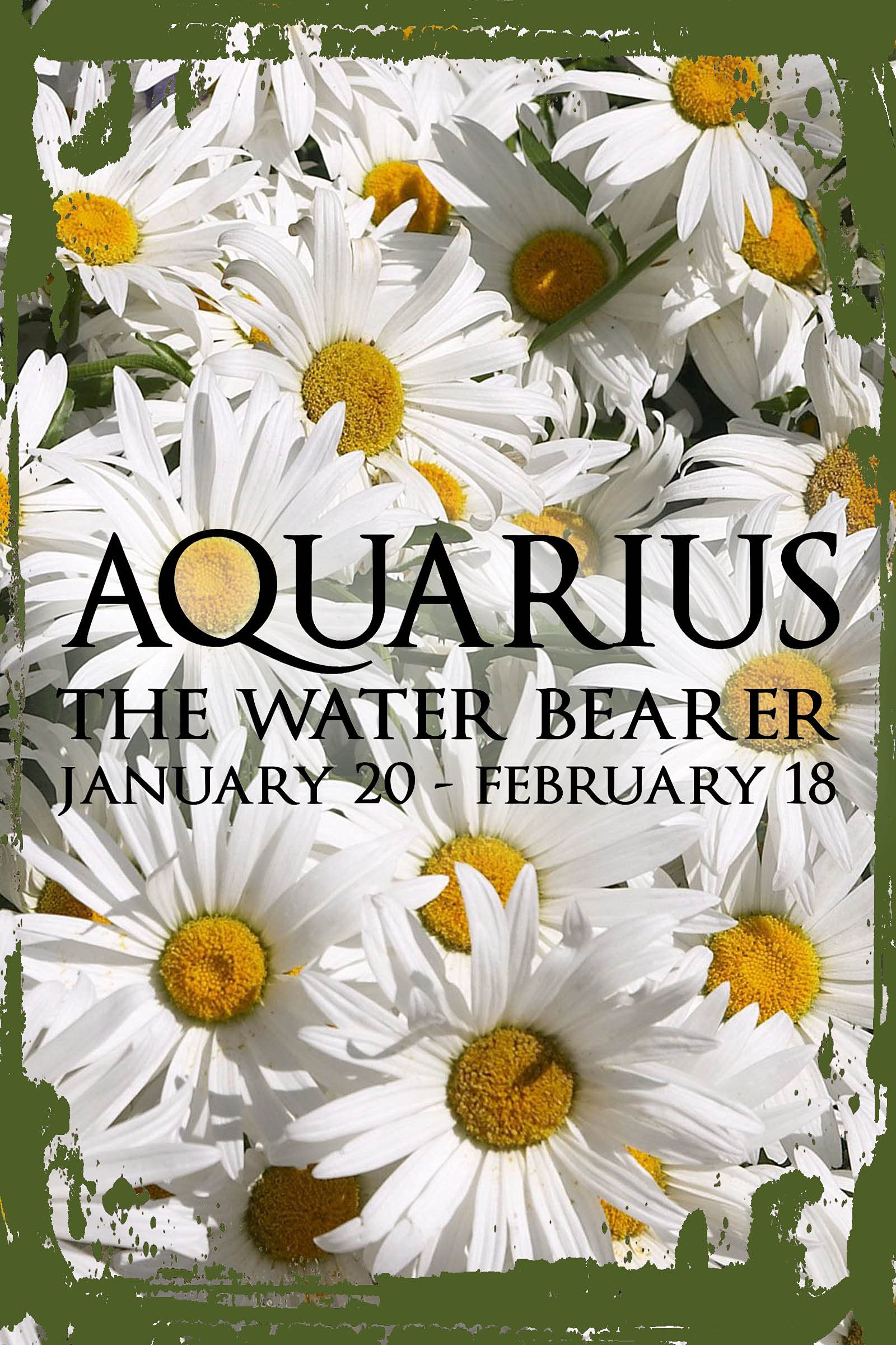 Zodiac Wall Art - Aquarius Water Bearer Sign (Jan 20-Feb 18) - 8x12 Inch Astrology Decor for Home, Office & Gift - Perfect for Birthday, Housewarming & Zodiac-Themed Parties