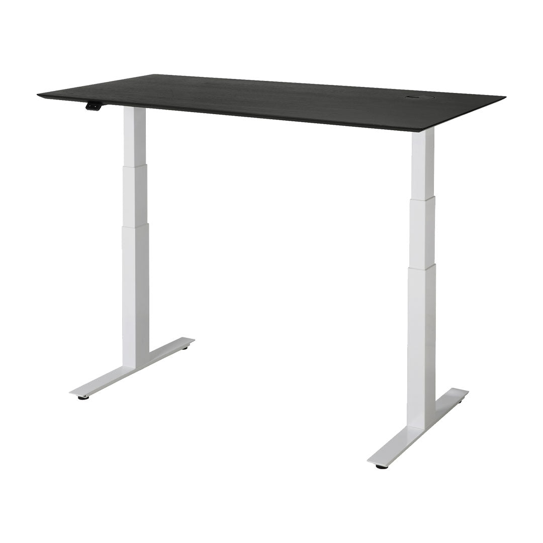 Adjustable Standing Desk - Ergonomic Height Adjustable Computer Desk for Home & Office - Perfect for Work from Home, Gaming & Study