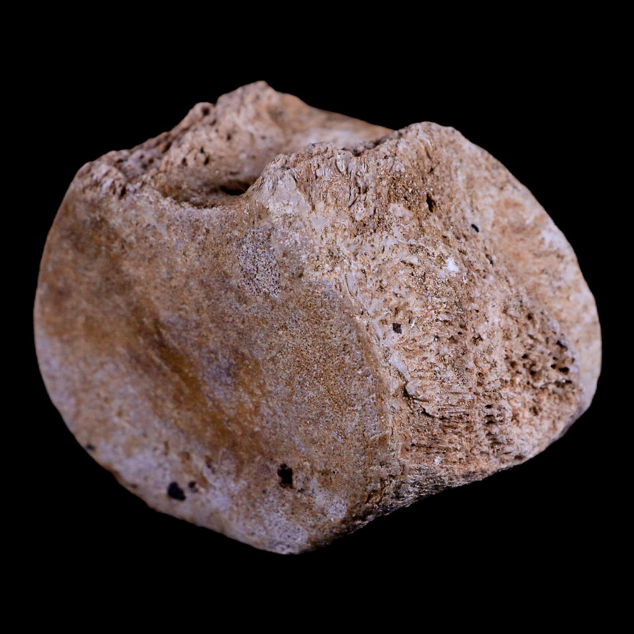 2.3