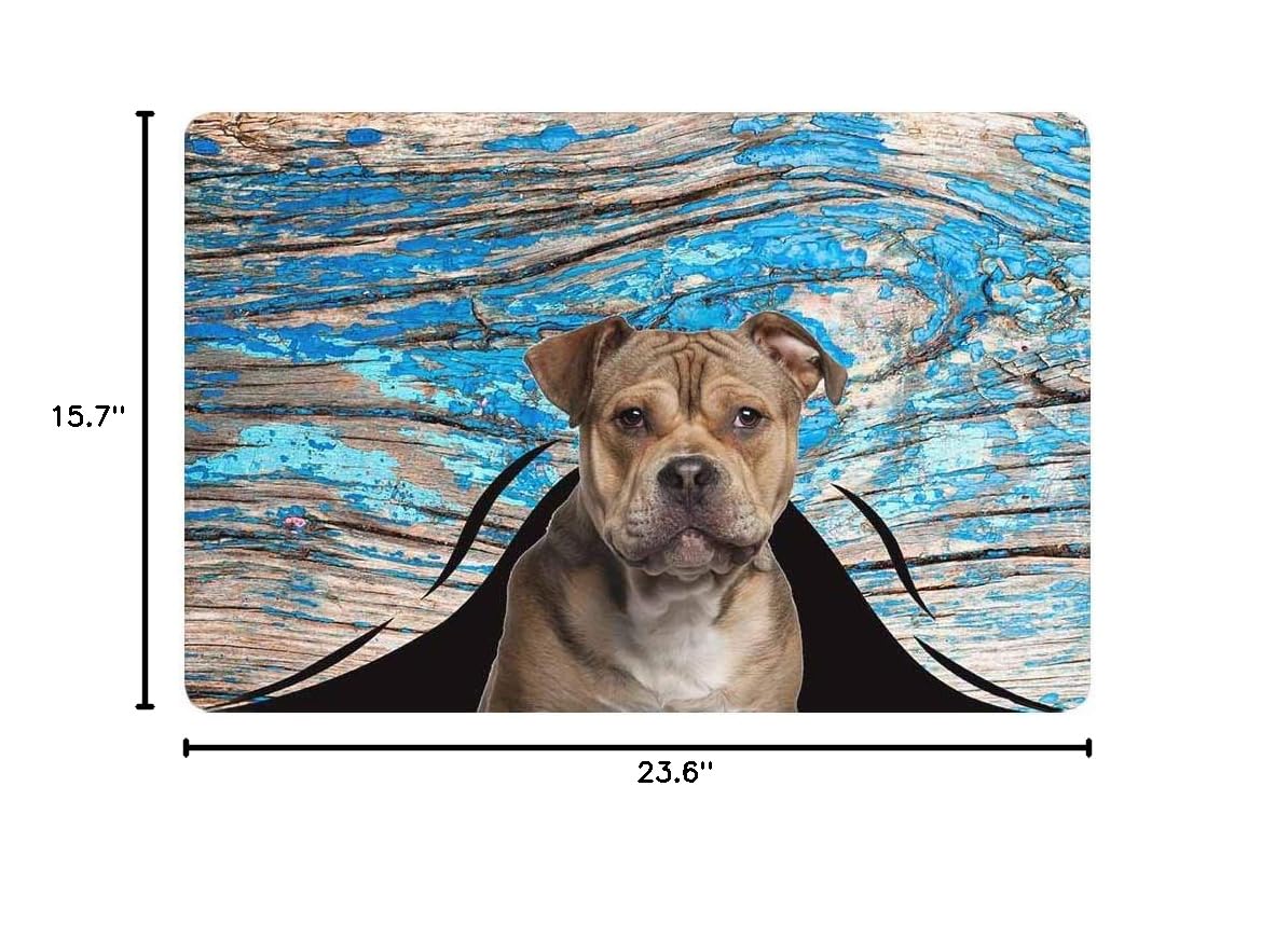 Custom Pet Dog Picture Doormat - Personalized Entrance Mat for Home & Office - 23.6x15.7 Inch Non-Slip Floor Mat - Perfect Welcome Mat for Front Door Decor & Pet Lovers