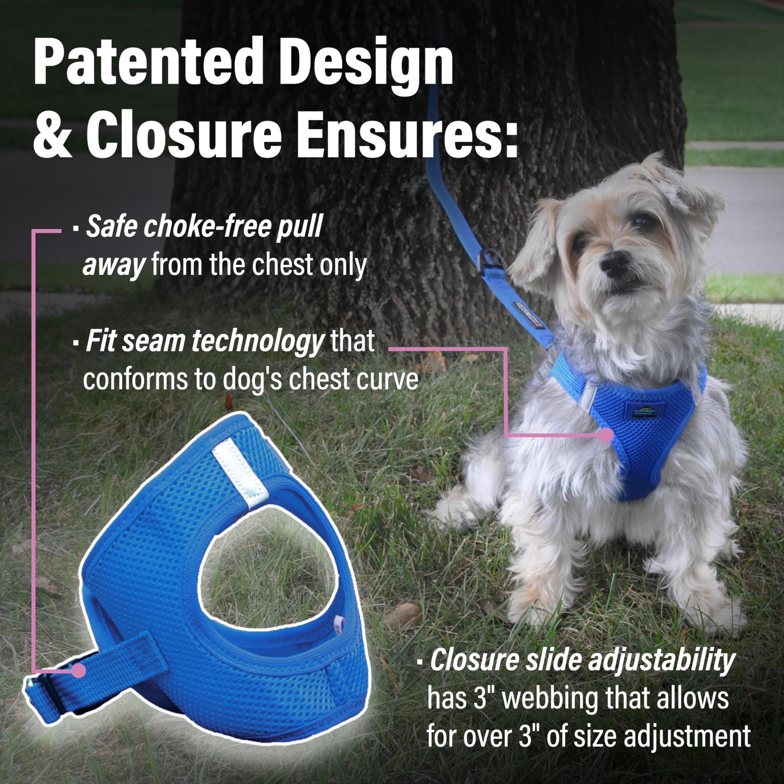 Doggie Design No-Choke Dog Harness - Breathable Mesh Polyester Pet Vest with Easy Step-in Design for Small, Medium & Large Dogs - Cobalt Blue Size L - Perfect for Walking, Hiking & Outdoor Adventures