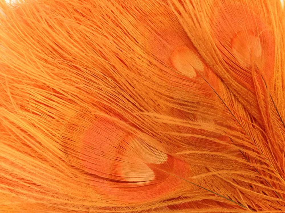 100 Pieces Orange Bleached & Dyed Peacock Tail Eye Feathers Bulk 10-12