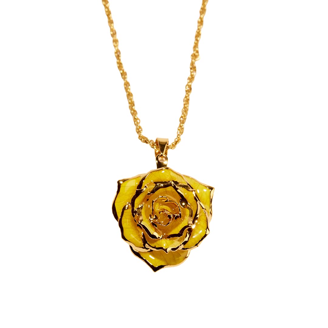 24K Gold Dipped Eternal Rose Necklace - Real Preserved Flower Jewelry for Women, Anniversary Gifts, Valentine's Day Present - Perfect for Romantic Dates, Weddings & Special Occasions