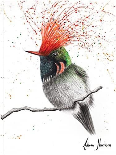 Rufous Crested Coquette