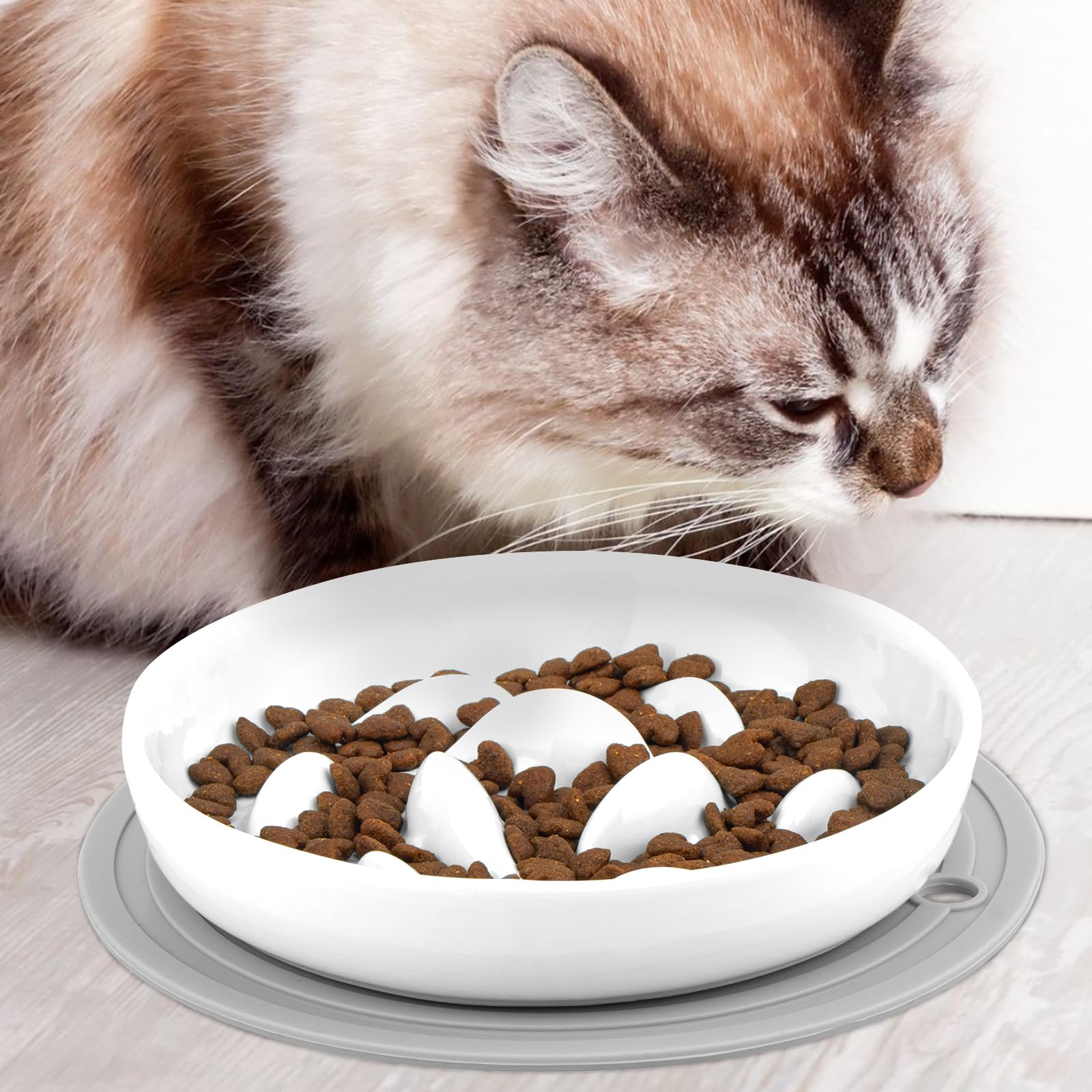 Premium Ceramic Slow Feeder Cat Bowl with Non-Slip Mat - Puzzle Feeder for Healthy Eating in Kittens & Puppies - Perfect for Portion Control and Preventing Bloat During Mealtime