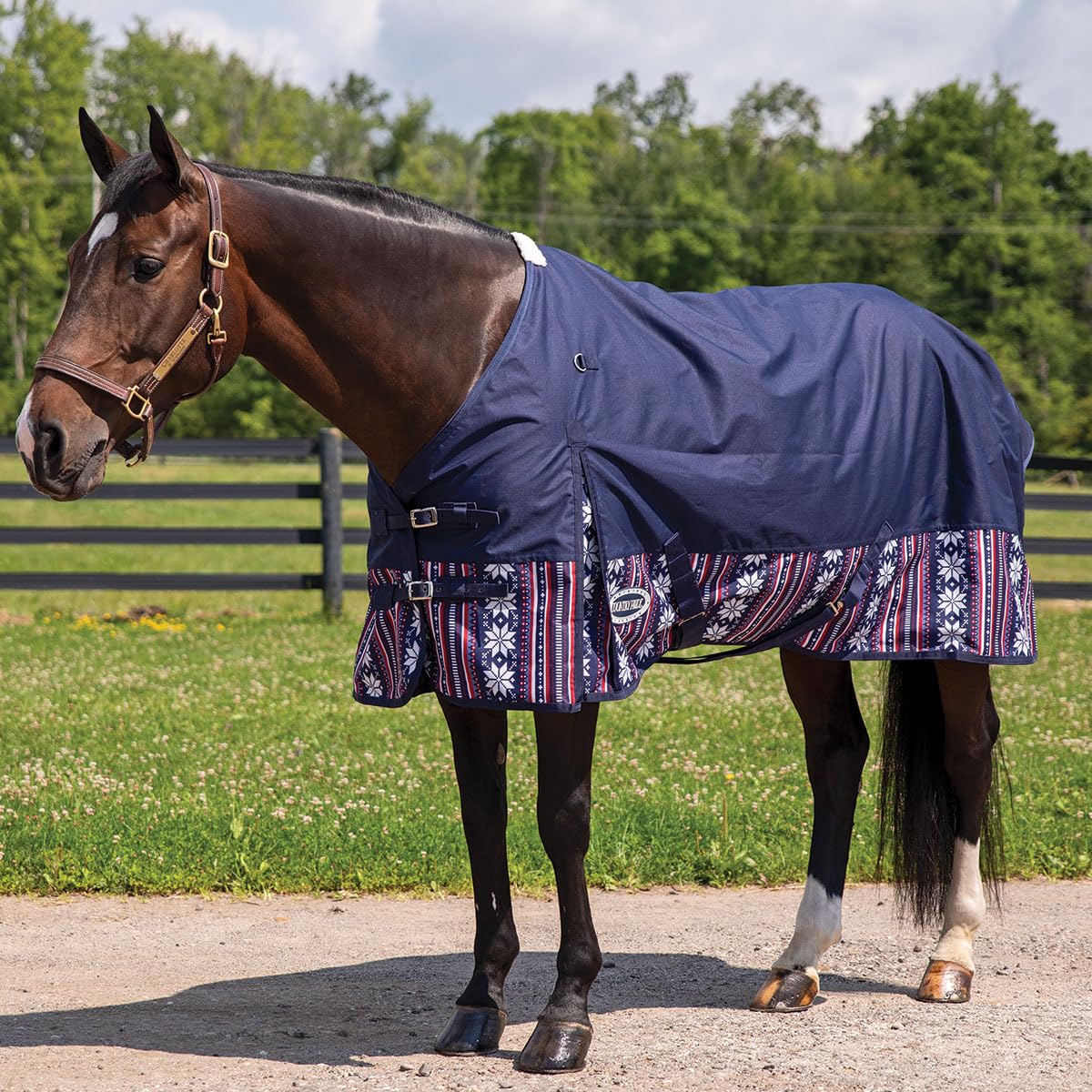 Country Pride Glacier Heavyweight Turnout Blanket for Horses - 66
