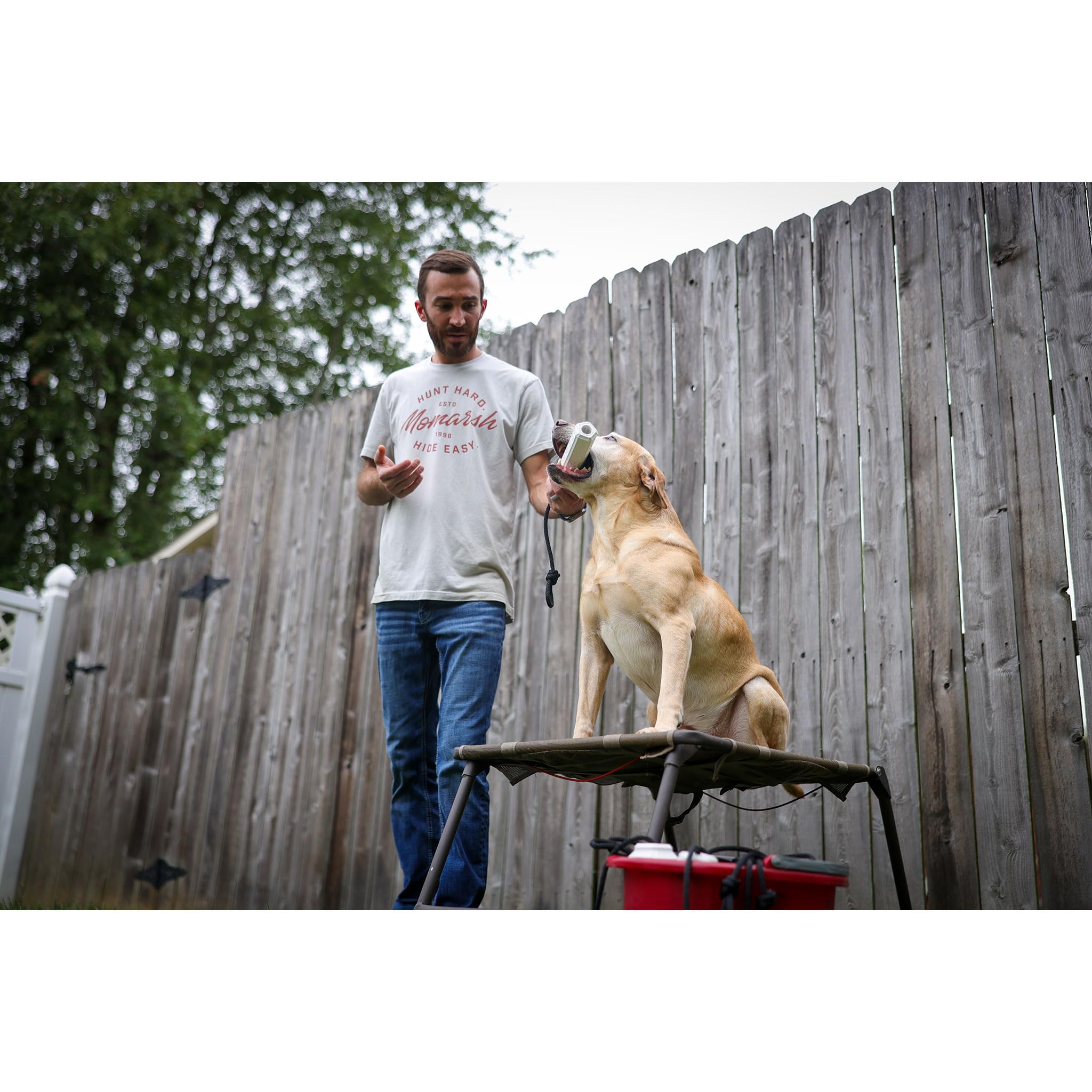 Momarsh Final Stand Adjustable Dog Training Platform - Elevated Pet Training System for Place, Agility & Steadiness | Perfect for Hunting Dogs, Obedience Training & Outdoor Exercises