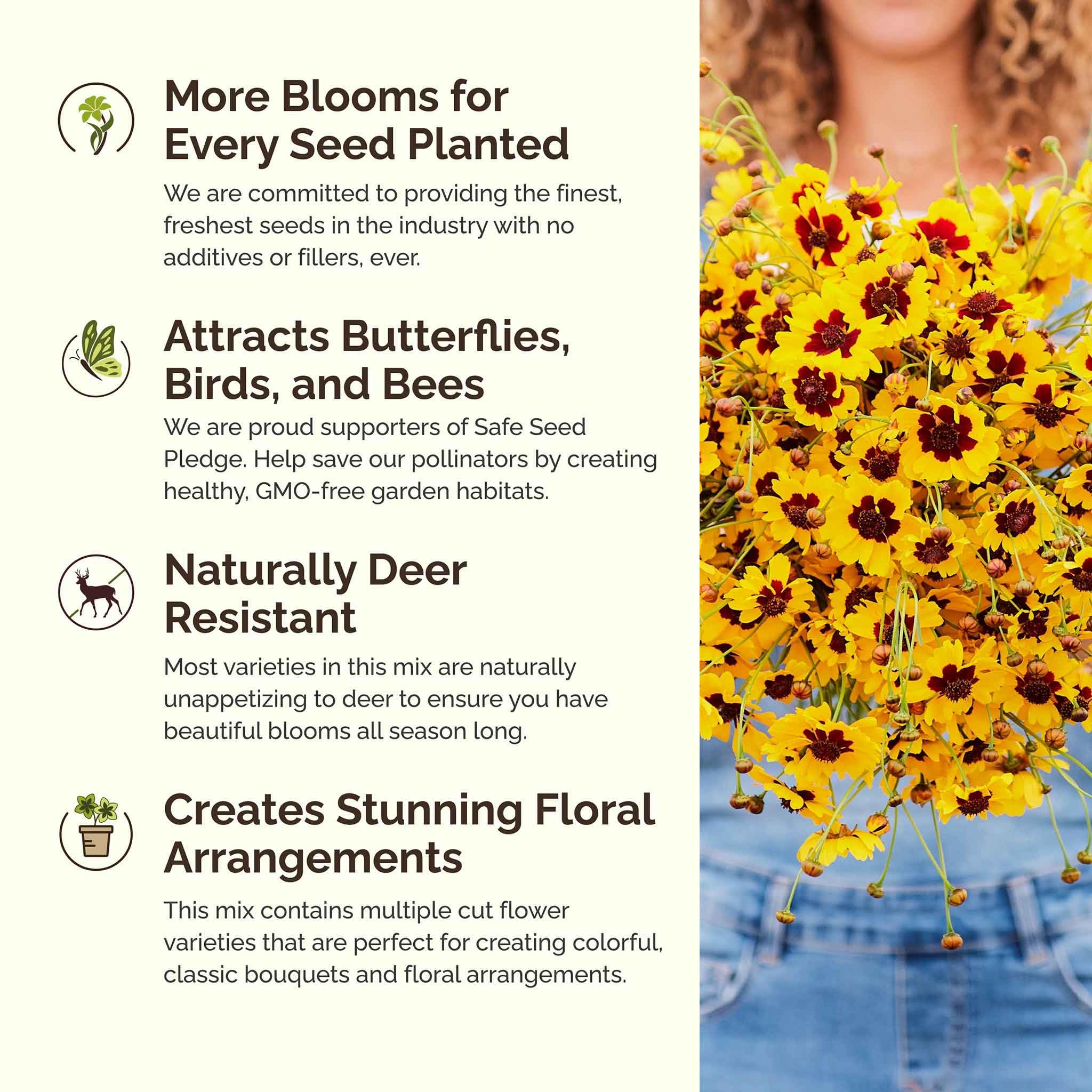 Eden Brothers Premium Wildflower Seed Mix - 1/4 lb (120,000+ Seeds) with Sunflower, Indian Blanket & Scarlet Flax | Annual Flower Seeds for Planting | Attracts Bees, Butterflies & Pollinators | Spring Planting for Zones 3-10 | Perfect for Gardens, Meadows & Landscaping