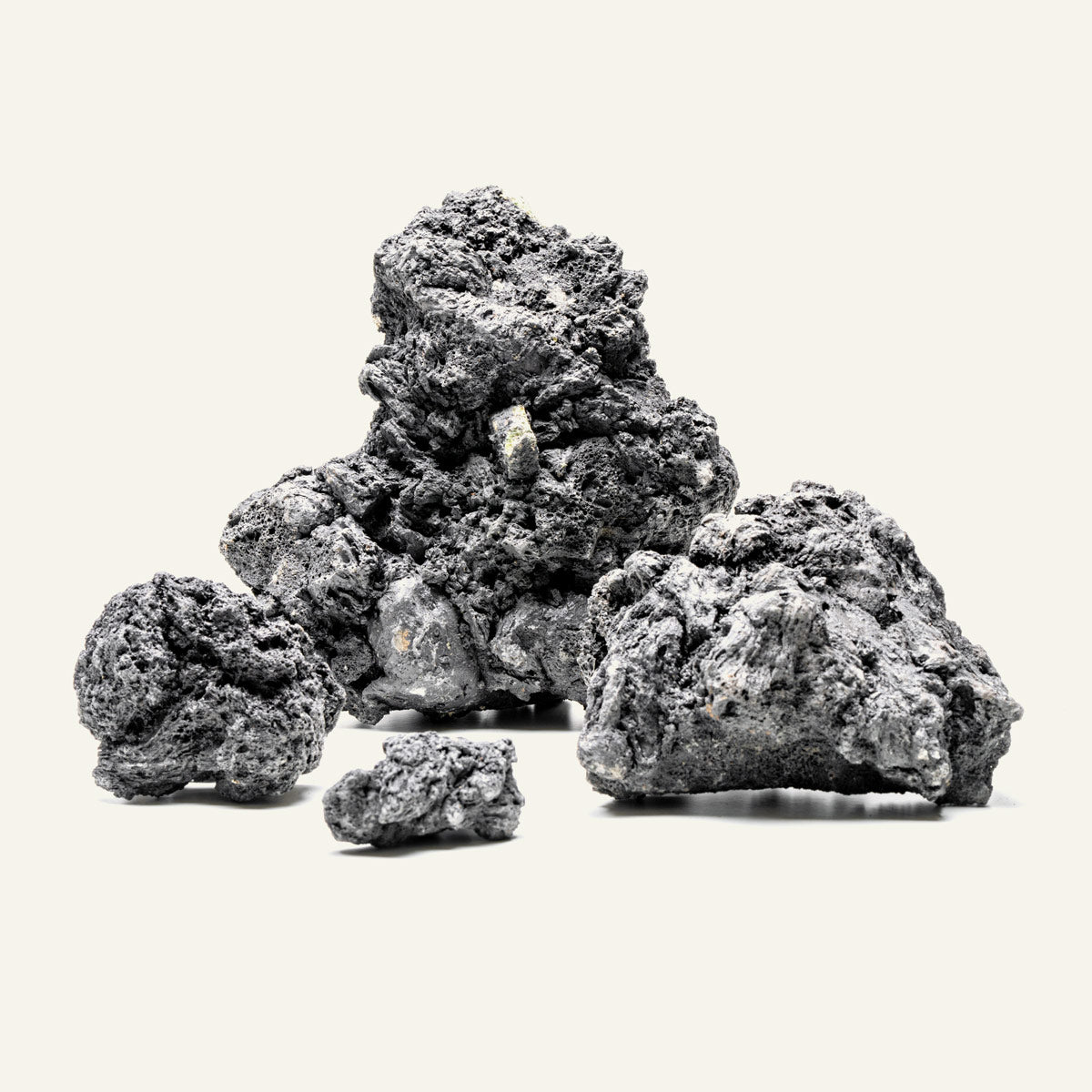 Premium Black Lava Rocks for Landscaping - Natural Volcanic Stones for Garden Decor, Aquariums & Fire Pits - Heat Resistant, Porous & Lightweight (10 lbs)