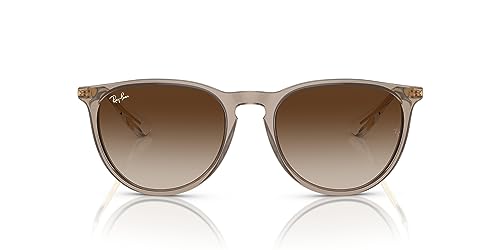 Transparent Light Brown/Gradient Brown