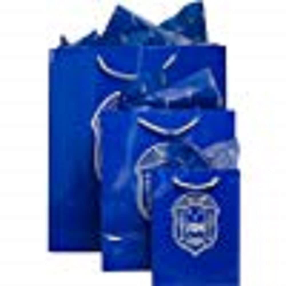 Zeta Phi Beta Sorority Gift Bags - Custom Greek Organization Tote Bags for Sisterhood Events, College Reunions & Sorority Gifts (Perfect for Big/Little Reveals, Bid Day & Initiation Ceremonies)
