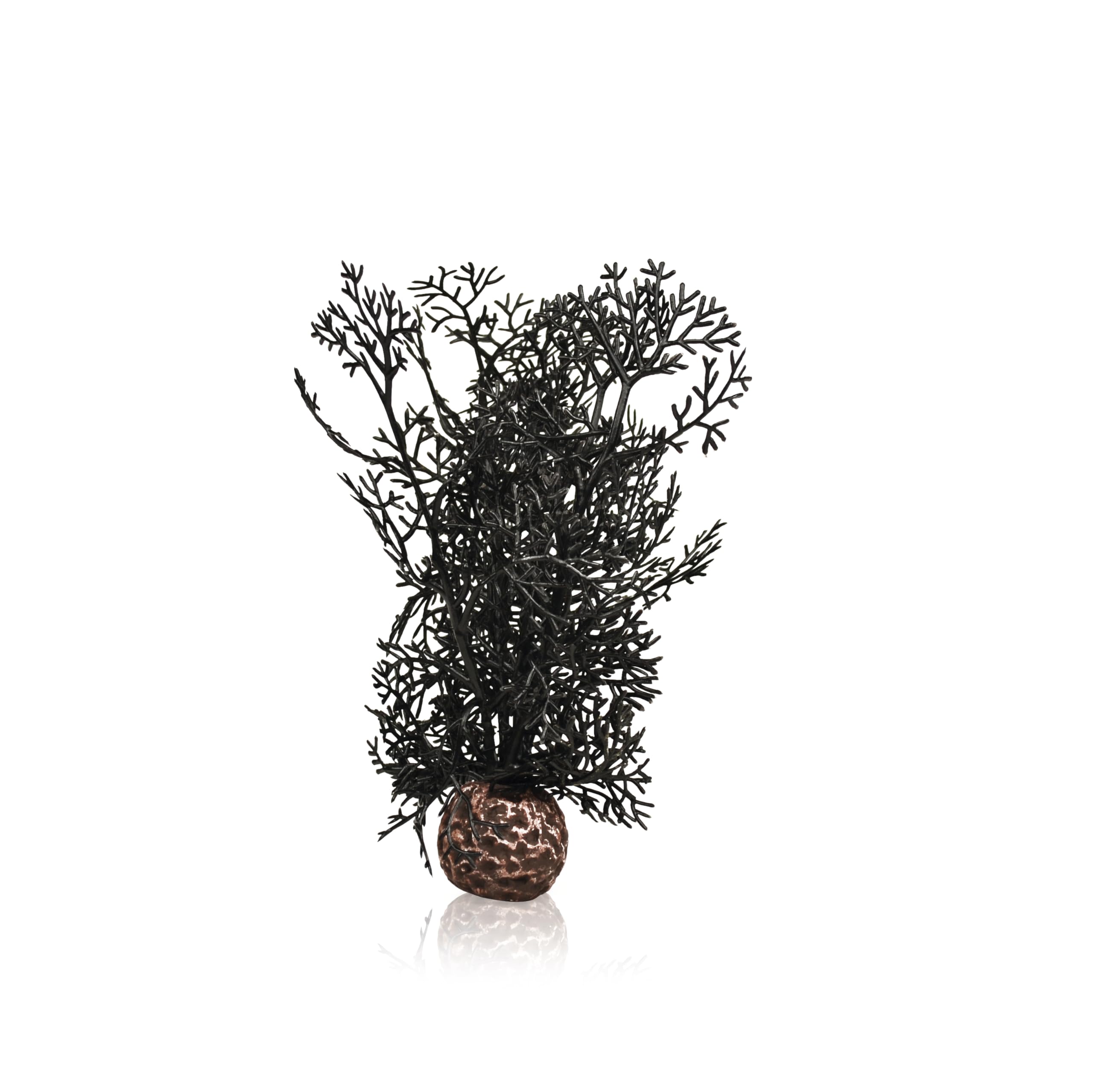 BiOrb 46093.0 Sea Fan Small Black Aquarium - Compact Saltwater Fish Tank for Home & Office Decor | Perfect for Marine Life Enthusiasts