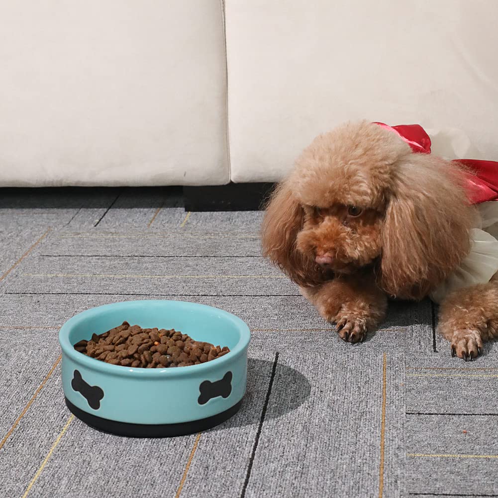 Premium Ceramic Dog Bowls with Bone Design - 16oz Porcelain Pet Food & Water Dish for Small Dogs (Turquoise) - Durable & Stylish Feeding Bowl for Home, Kitchen or Outdoor Use