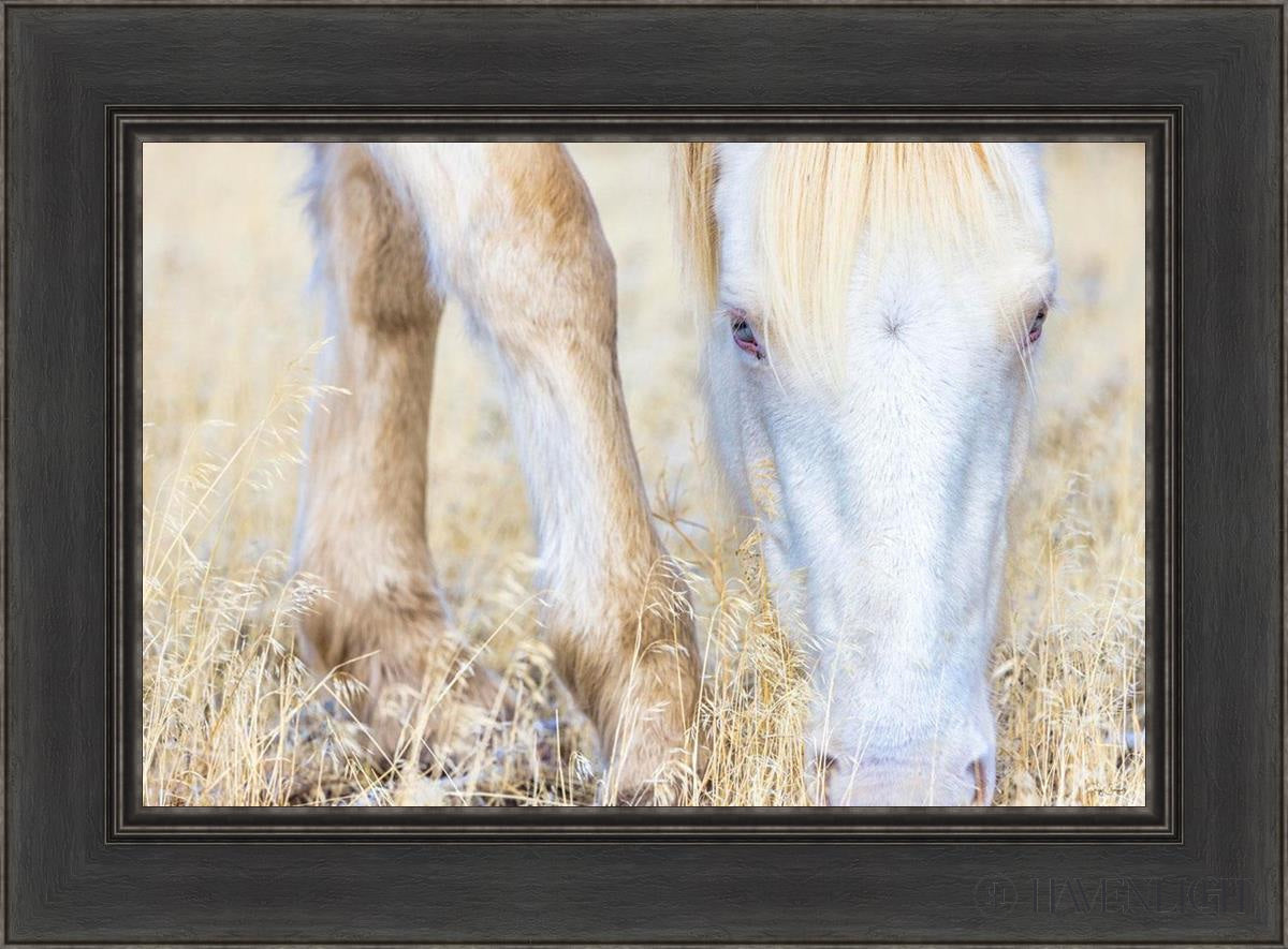 Dry Grass by Greg Sargent - Premium Handcrafted Home Decor for Rustic & Farmhouse Style - Perfect for Wall Art, Shelf Displays & Cozy Living Room Decor