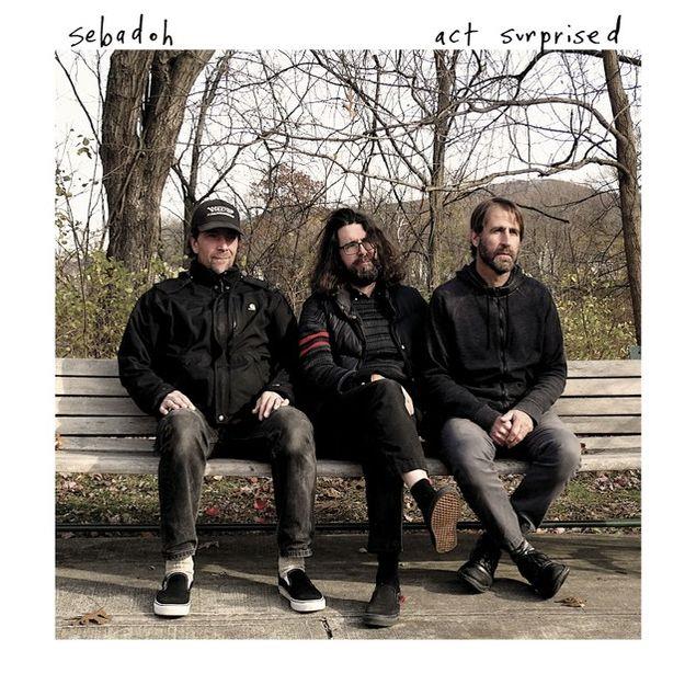 Sebadoh Act Surprised CD - Alternative Rock Music Album for Fans & Collectors | Perfect for Home Listening, Gifting & Music Collections