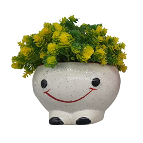 Smiley Planter (White) W/ Artificial Flower-01