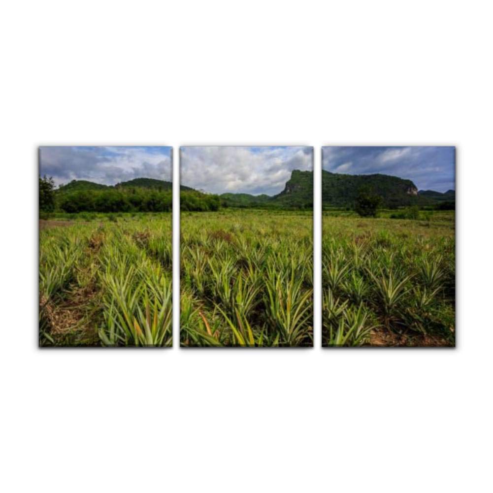 Modern Canvas Wall Art - Pineapple Farm Landscape Oil Painting, Framed Home Office Decor (16