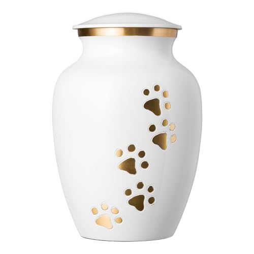 Cloud White Vertical Brass Paws