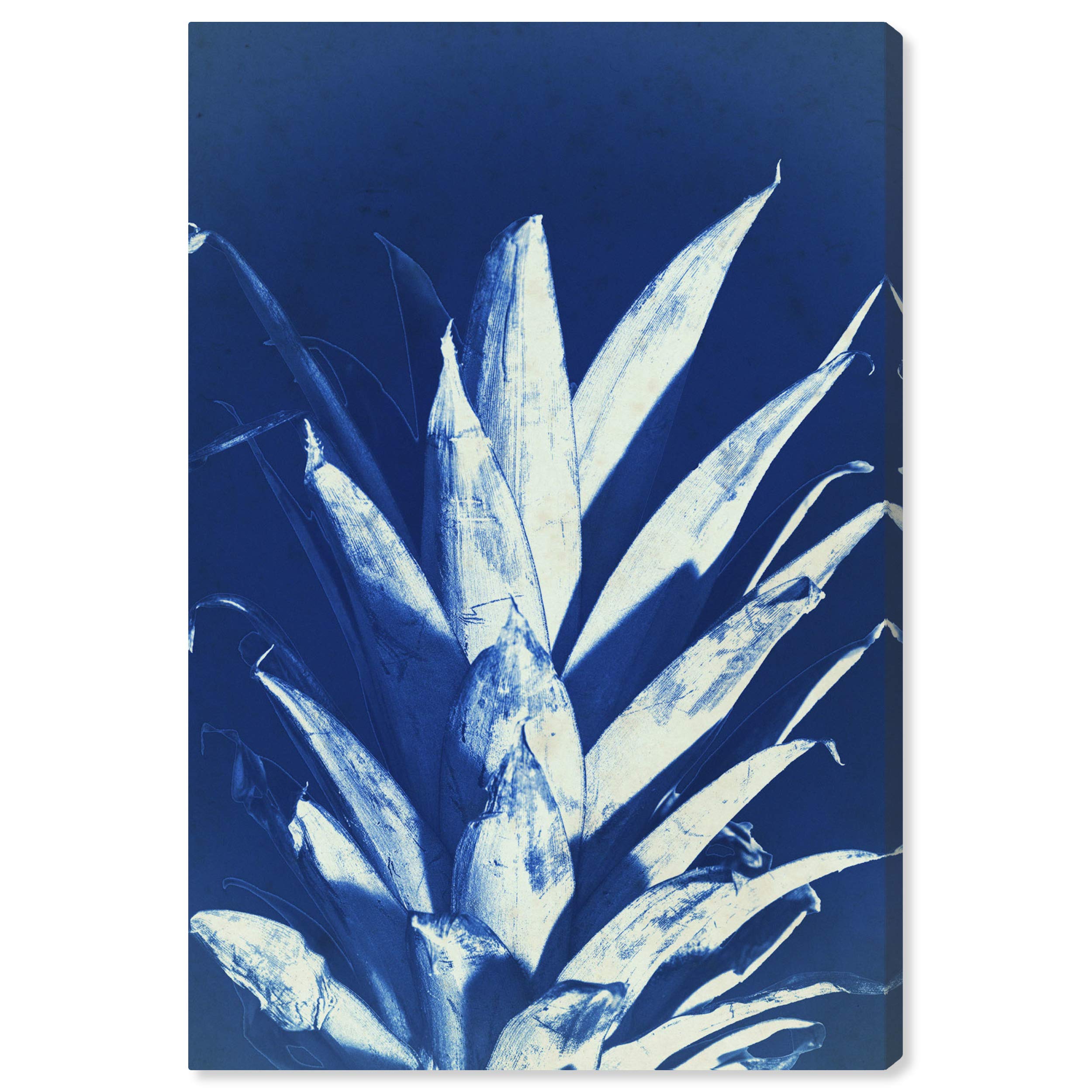 Oliver Gal Artist Co. Kitchen Wall Art - Pineapple Sun Print Cyanotype Canvas Home Decor 30x45 Inches - Blue & Gray Modern Art for Dining Room, Cafe, Restaurant Decor