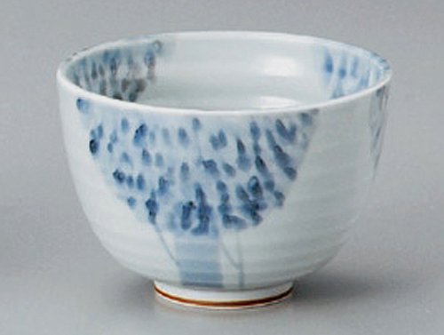 Premium Japanese Porcelain Rice Bowl Set of 5 - Handcrafted in Japan for Udon, Teriyaki, Sushi & Asian Cuisine | Elegant Dining & Gift Idea for Home, Restaurant & Japanese Food Lovers