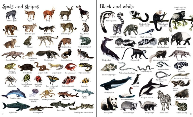 1000 Animals Hardcover Book by Usborne - Educational Wildlife Encyclopedia for Kids, Perfect for Homeschooling & Classroom Learning