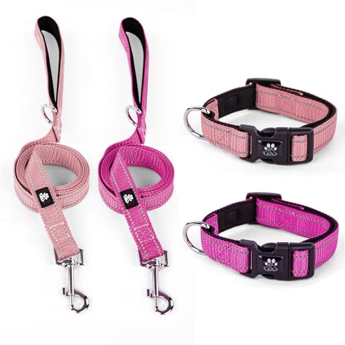 Pink&Fuchsia(Collar+Leash)
