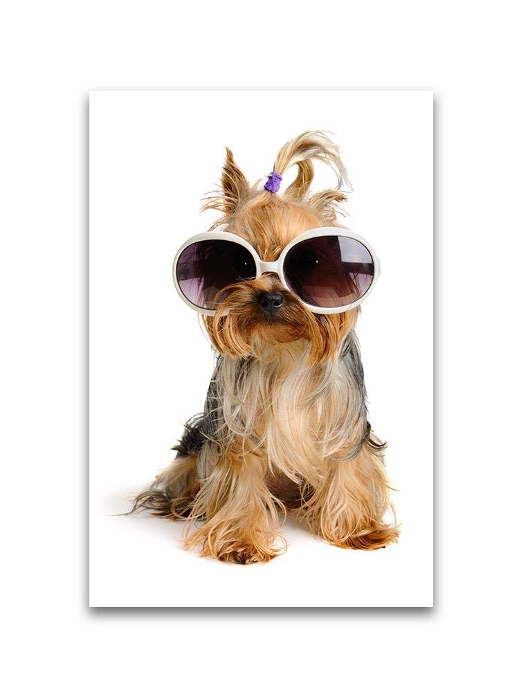Trendy Yorkie Dog with Sunglasses Wall Art - Perfect for Pet Lovers, Home Decor & Office Wall Decorations