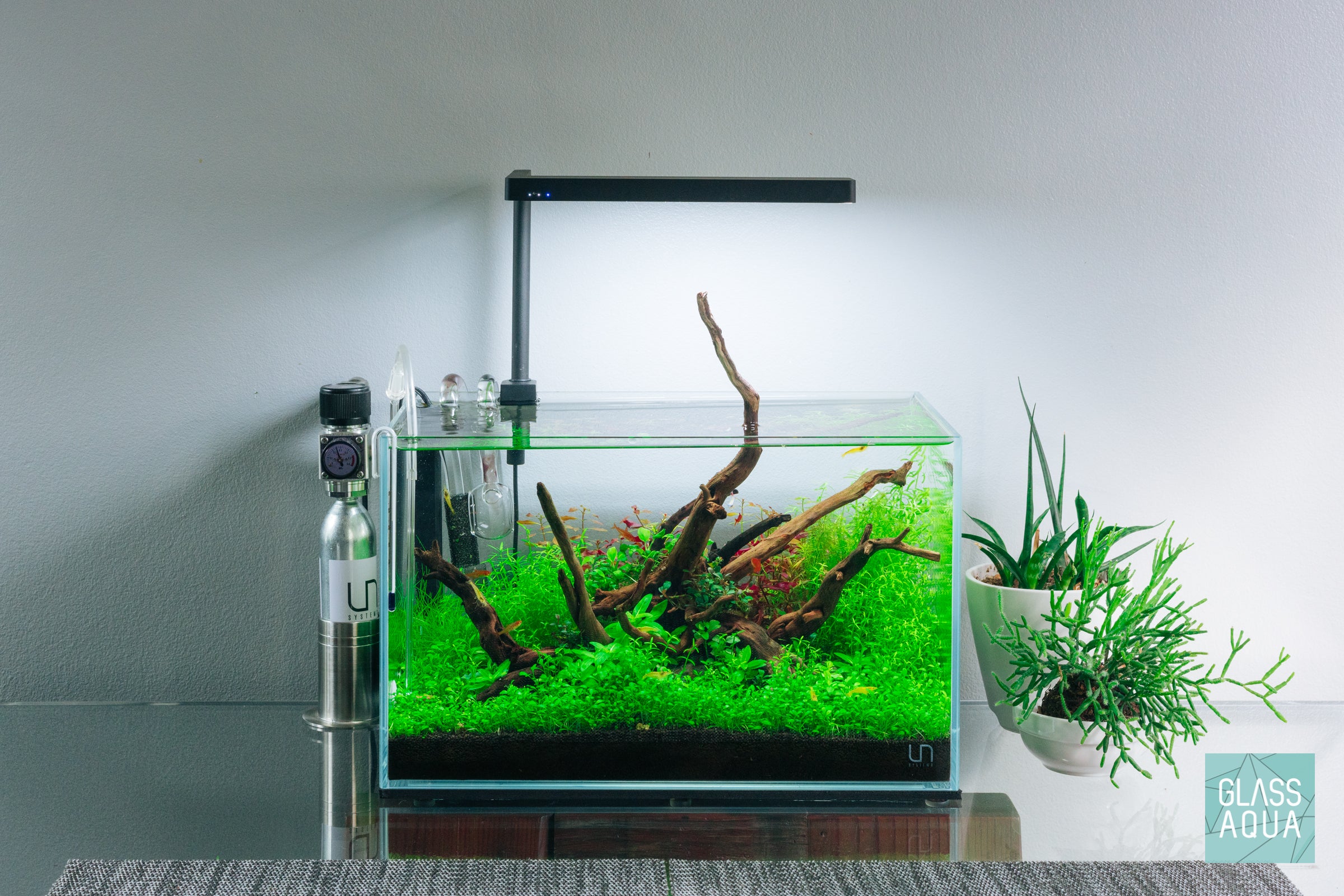 Nano CO2 Kit for Aquarium Plants - Compact CO2 System for Healthy Plant Growth | Perfect for Small Fish Tanks & Nano Aquascapes