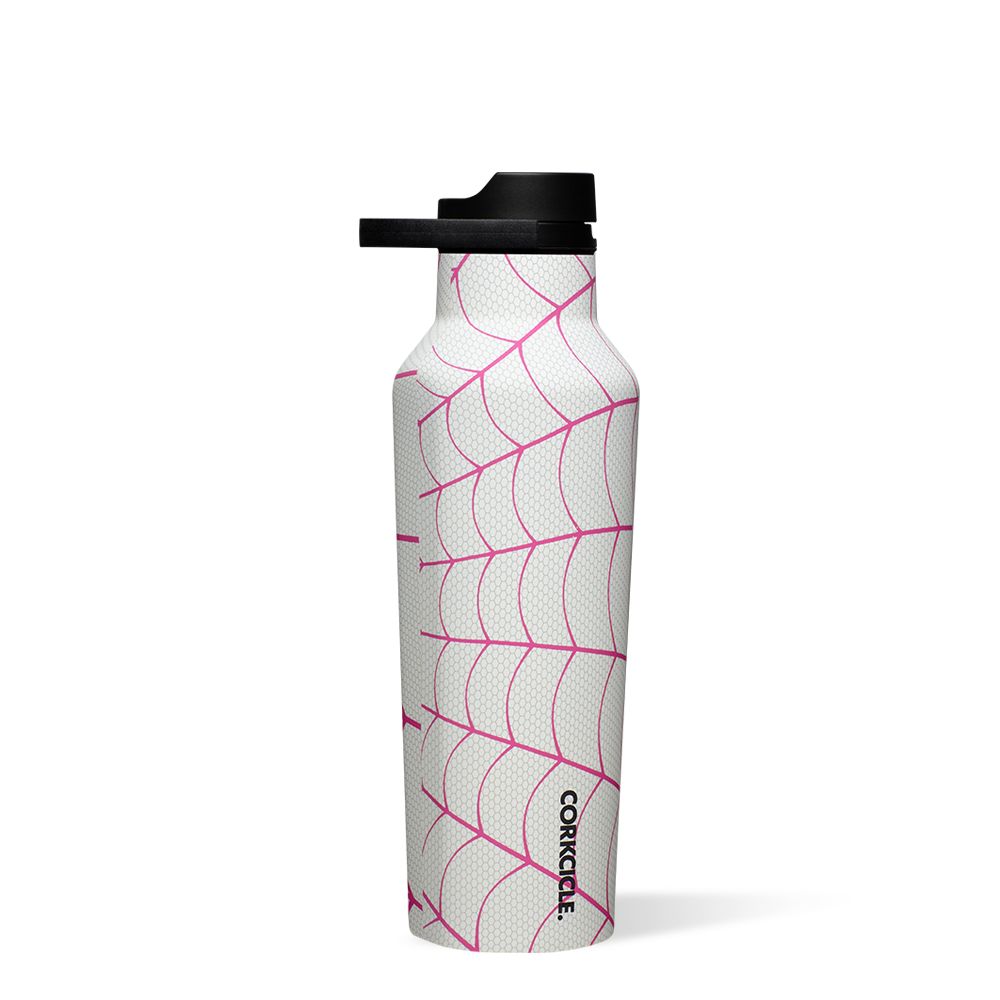 Marvel Superheroes Stainless Steel Sports Water Bottle - Leak Proof & Insulated for Gym, Hiking & Outdoor Adventures