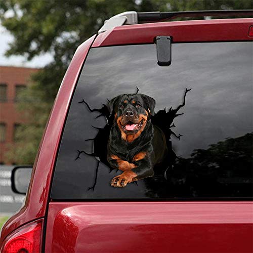 Rottweiler -01