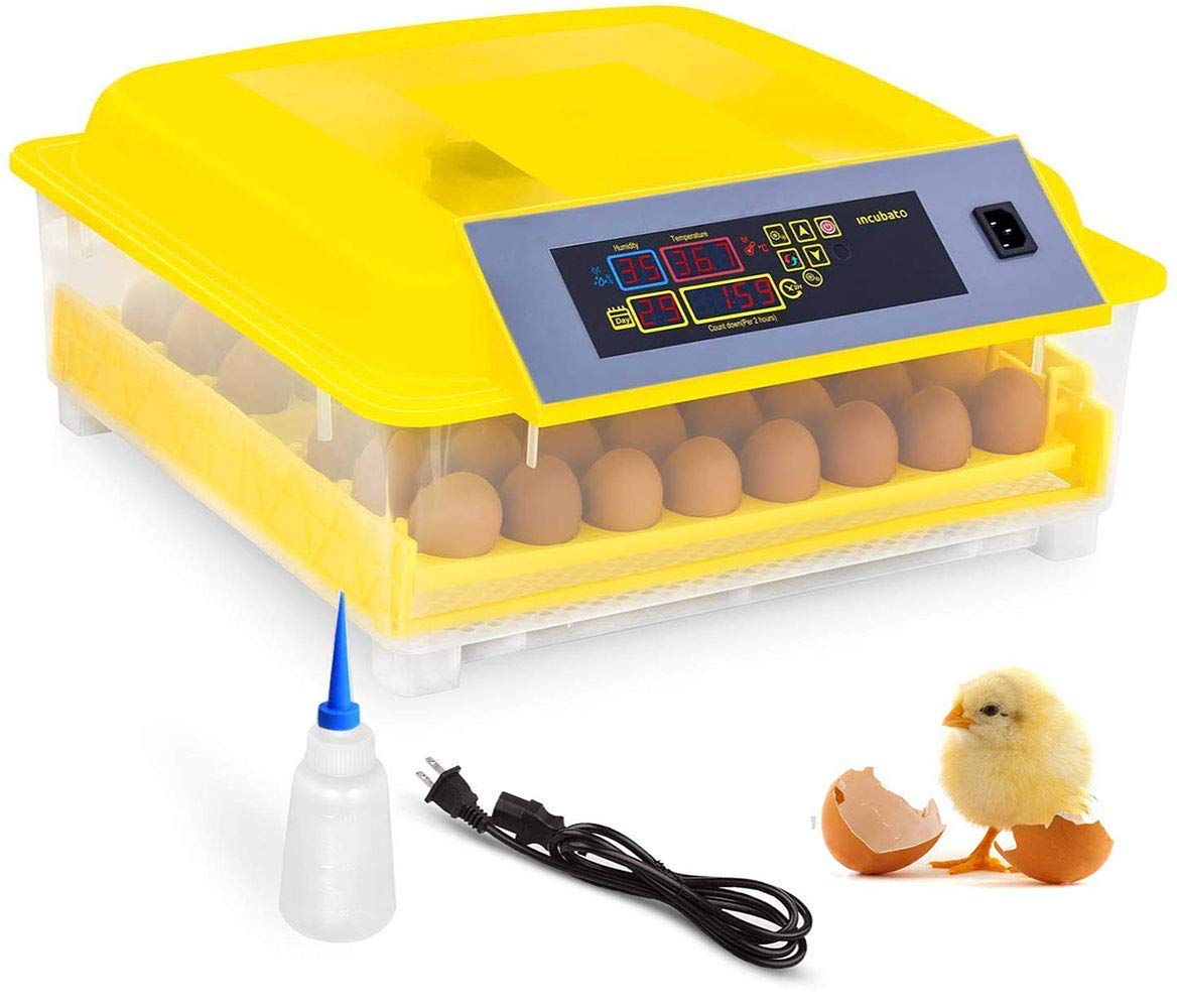 48 Egg Digital Incubator - Fully Automatic Egg Turner with Temperature & Humidity Control for Hatching Chicken, Duck, Goose & Quail Eggs | Perfect for Poultry Farming, Classroom Projects & Kids' Educational Gifts