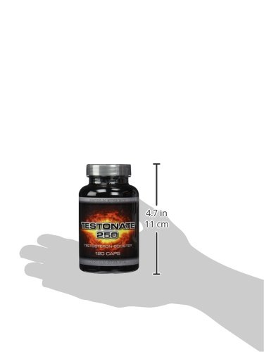 TESTONATE 250 Testosterone Booster 120 Capsules with Creatine, Tribulus, Maca & Avena Sativa - Natural Muscle Growth & Energy Supplement for Men | Gym Performance, Workout Recovery & Vitality Boost
