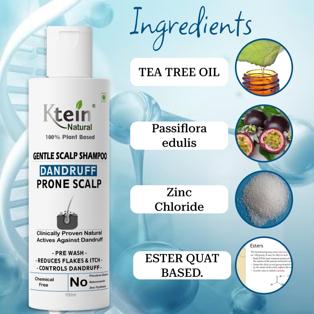 Ktein Natural 100% Plant-Based Anti-Dandruff Shampoo for Dry Scalp & Itchy Scalp Relief - Vegan, Sulfate-Free Hair Care for Men & Women - Perfect for Daily Use & Sensitive Scalp