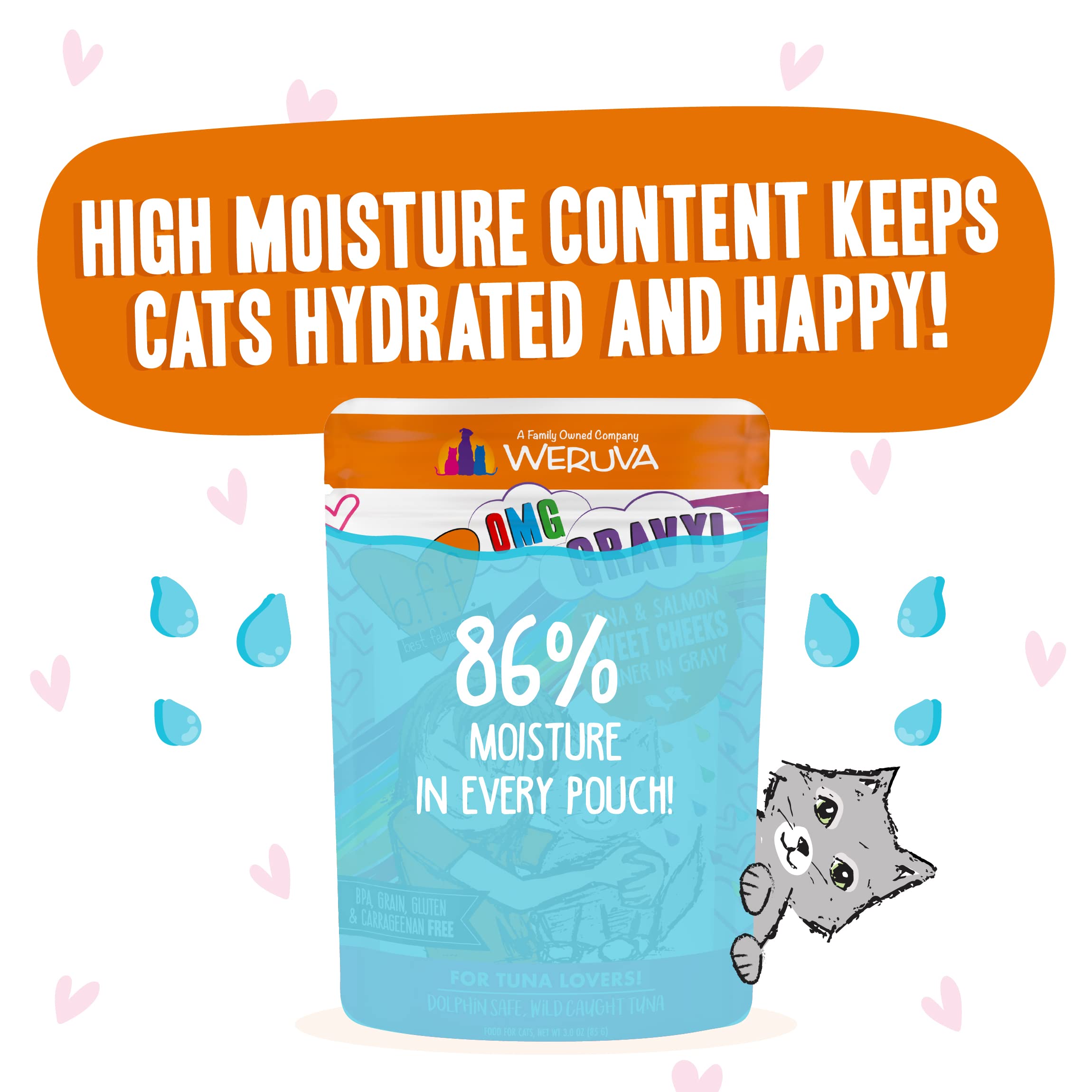 Weruva B.F.F. OMG Tuna & Salmon in Gravy Wet Cat Food - Grain-Free, High Protein, Natural Ingredients for Adult Cats - 3oz Pouch (Pack of 12) - Perfect for Mealtime, Travel & Treats