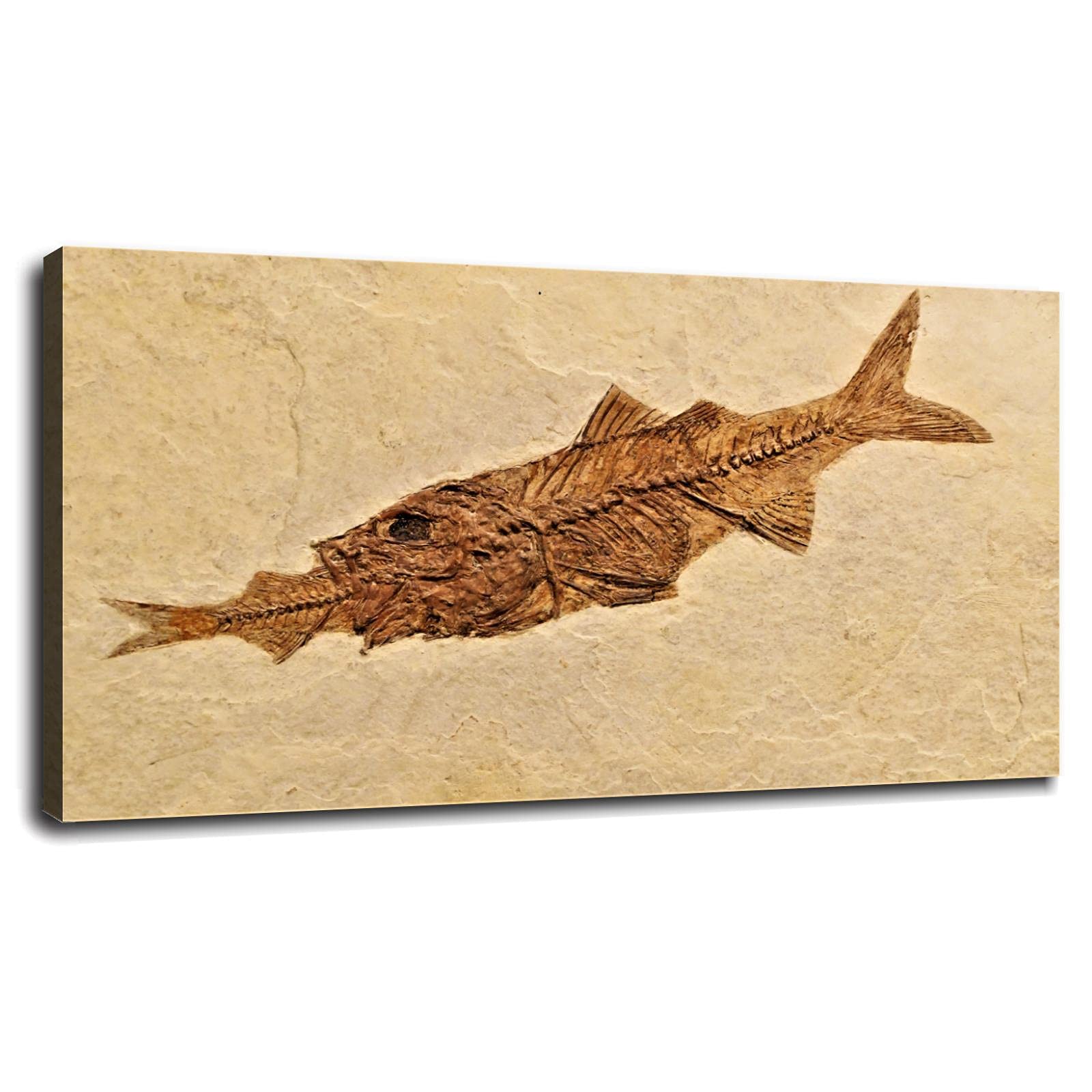 Fish Eat Fish Fossils Wall Art Canvas Print - 36x20 Inch Framed Poster for Home & Office Decor - Perfect for Living Room, Bedroom, or Office Wall Decorations