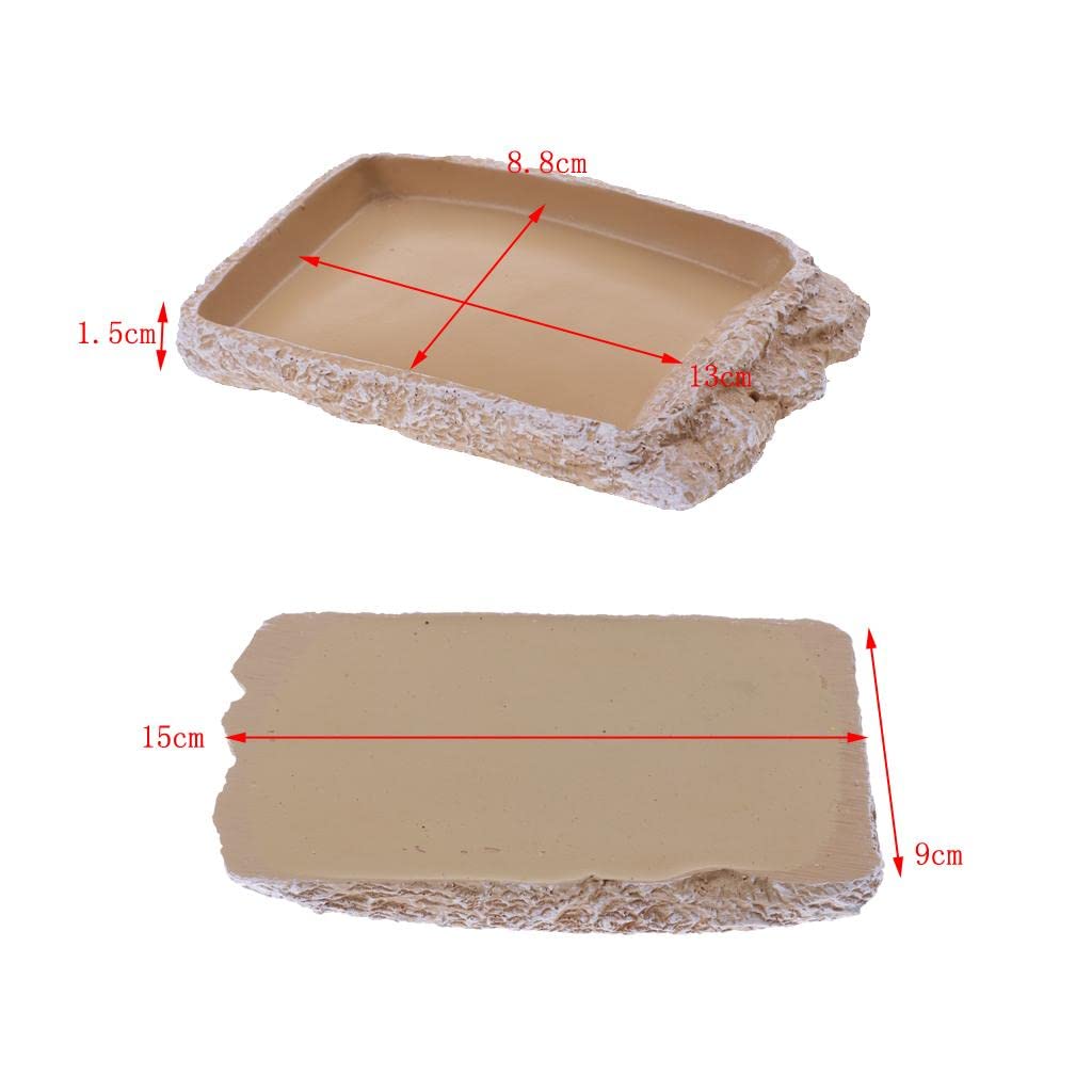 UJEAVETTE Reptile Feeding Bowl - Creamy White NS-14 for Food & Water - Perfect for Terrariums