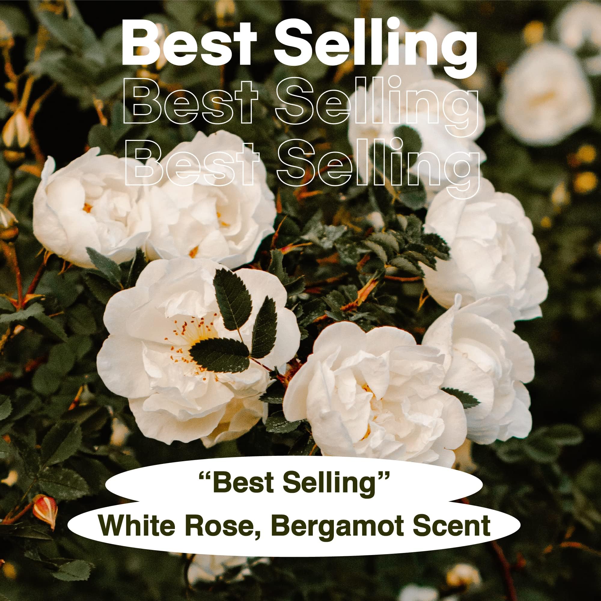 Skybottle Hair & Body Mist - Long-Lasting Bergamot & White Rose Fragrance, Travel-Size Perfume & Body Spray (3.4 Fl Oz) | Women's Hygiene Essential, Valentine's Gift for Girls & Women | Perfect for Travel, Gym, Office & Daily Freshness