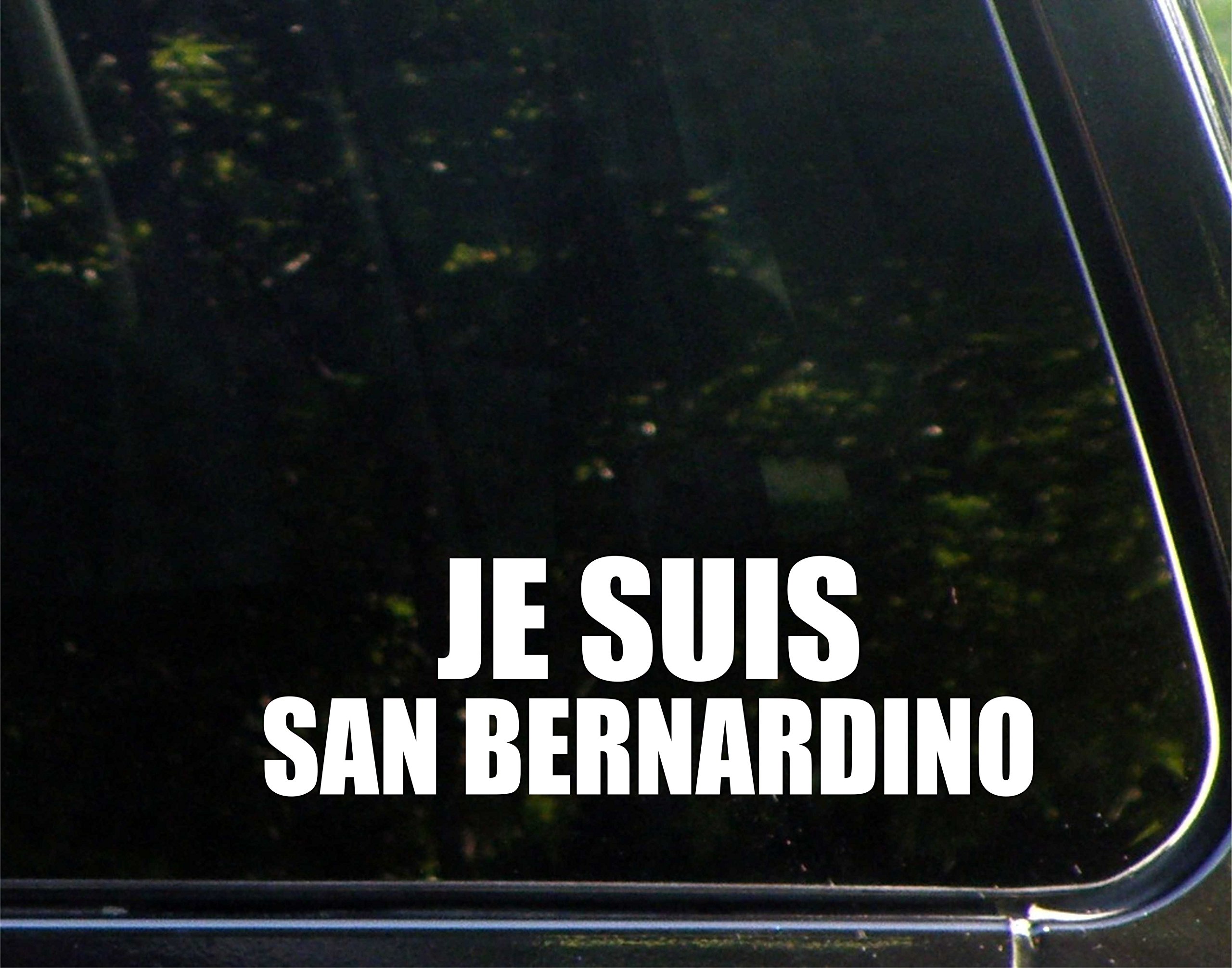 I Am San Bernardino - 9