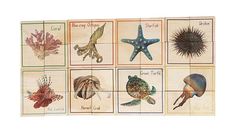 32-Piece Australian Sea Life Puzzle for Kids - Fun & Educational Ocean Animal Jigsaw Puzzle for Family Game Night & Classroom Learning Activities