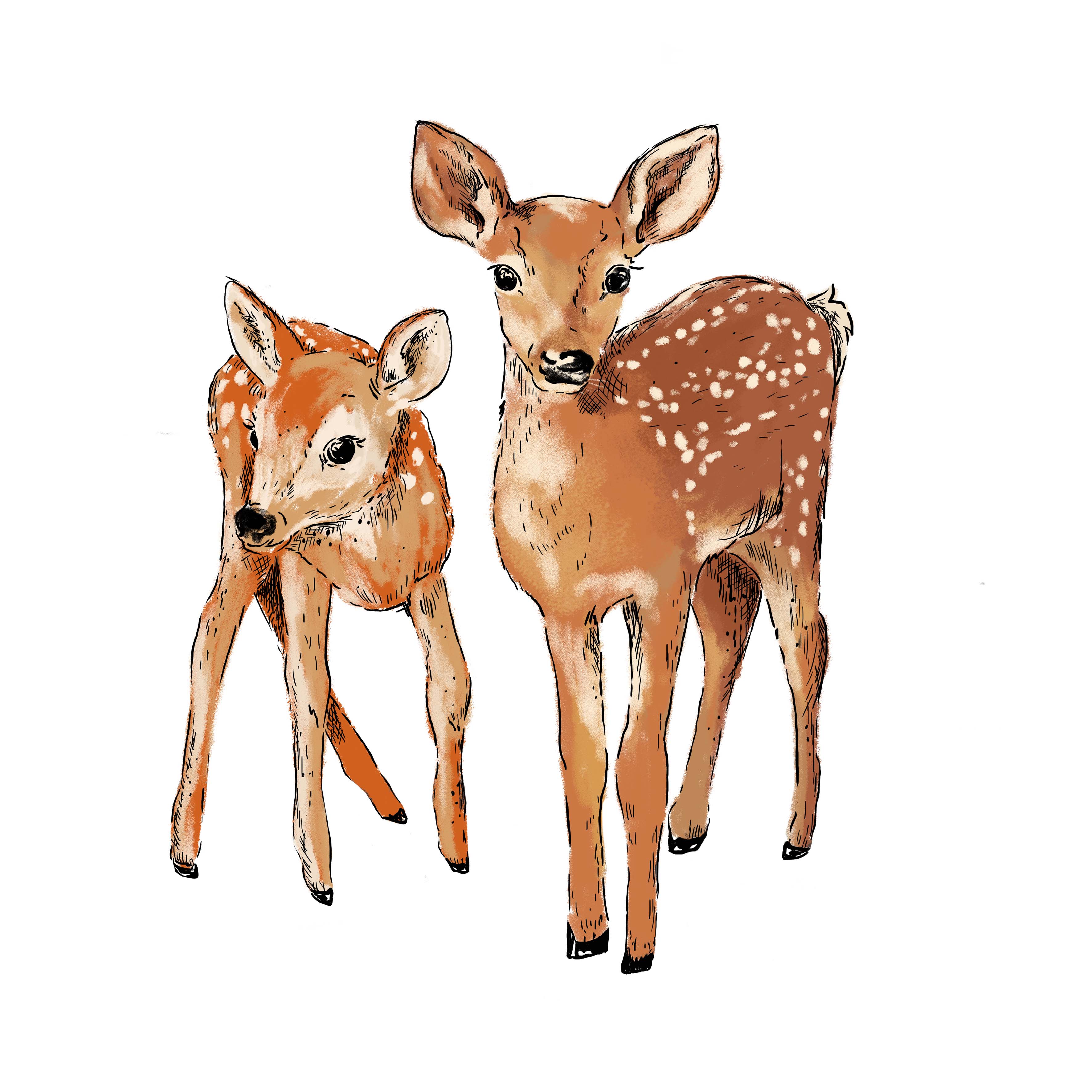 Deer Wall Decal Sticker - Removable Vinyl Art for Home, Nursery & Office Decor - Perfect for Bedroom, Living Room & Kids Room